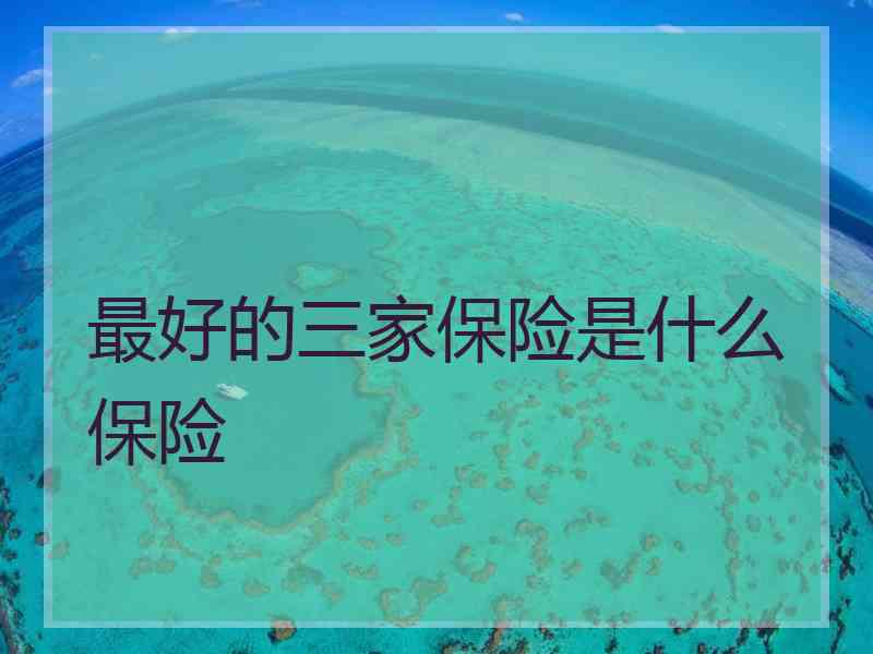 最好的三家保险是什么保险