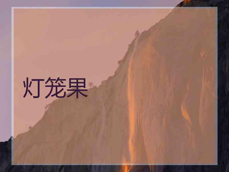灯笼果