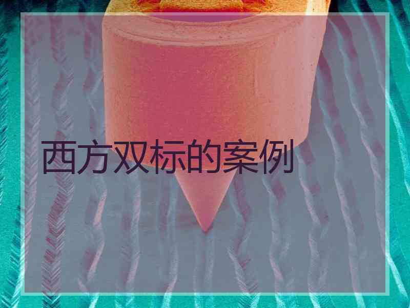 西方双标的案例