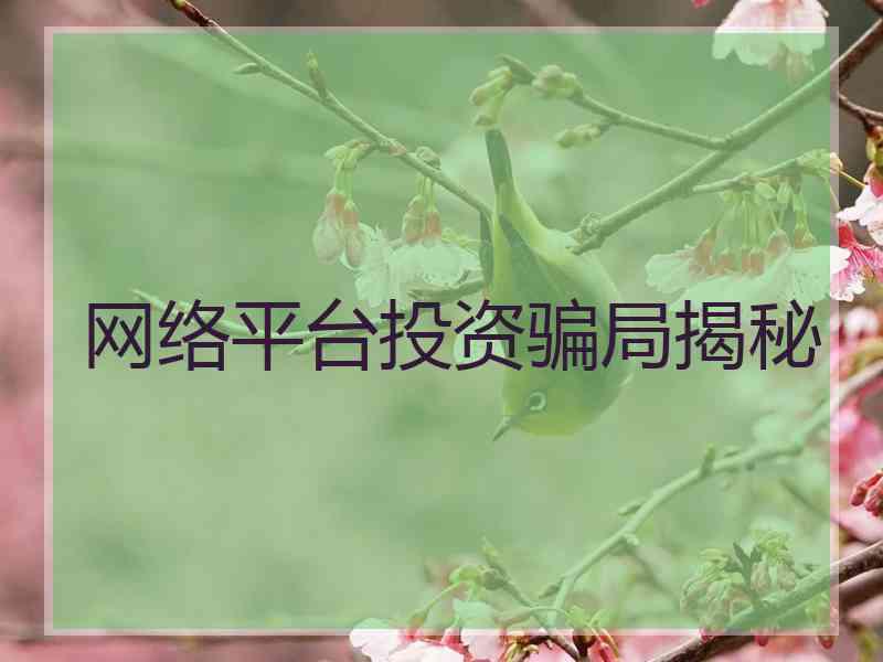 网络平台投资骗局揭秘