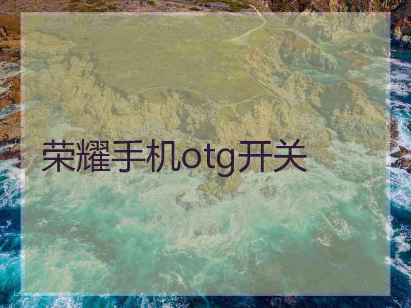 荣耀手机otg开关