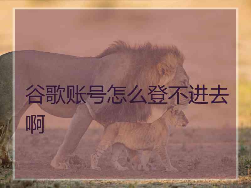 谷歌账号怎么登不进去啊