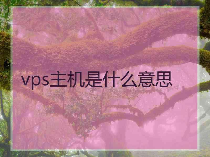 vps主机是什么意思