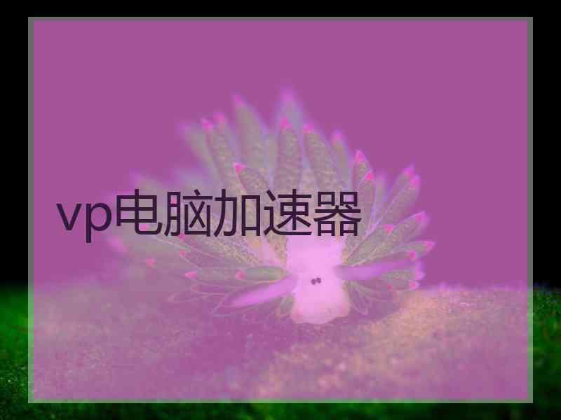vp电脑加速器