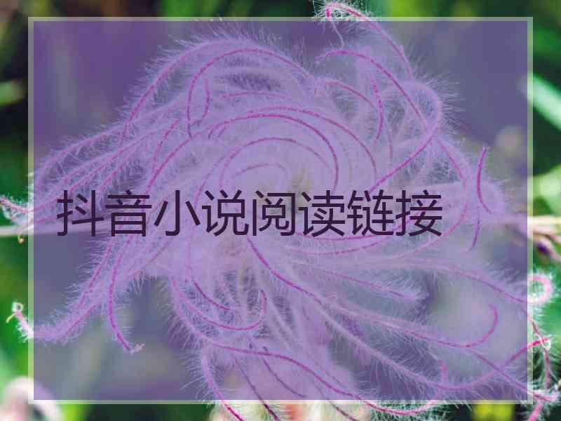 抖音小说阅读链接