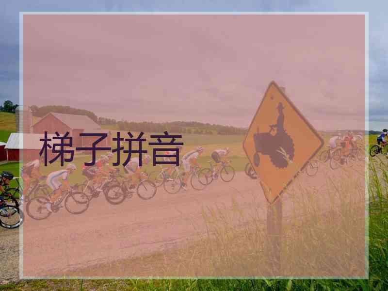 梯子拼音