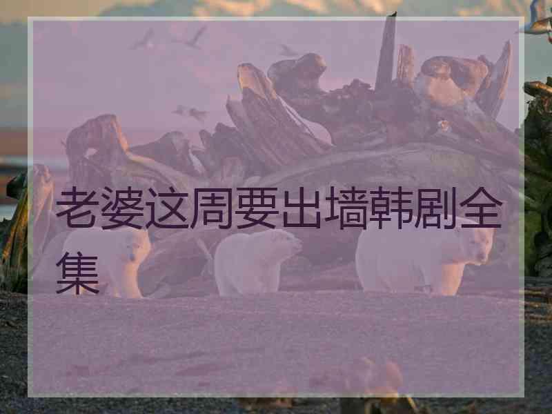 老婆这周要出墙韩剧全集