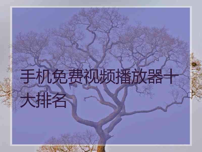 手机免费视频播放器十大排名