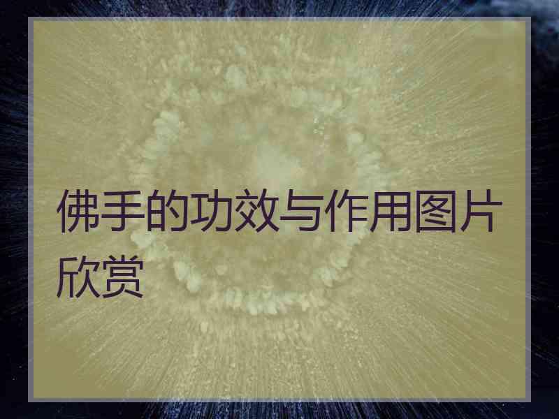 佛手的功效与作用图片欣赏