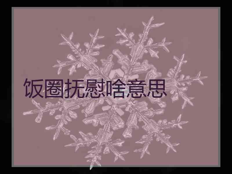 饭圈抚慰啥意思