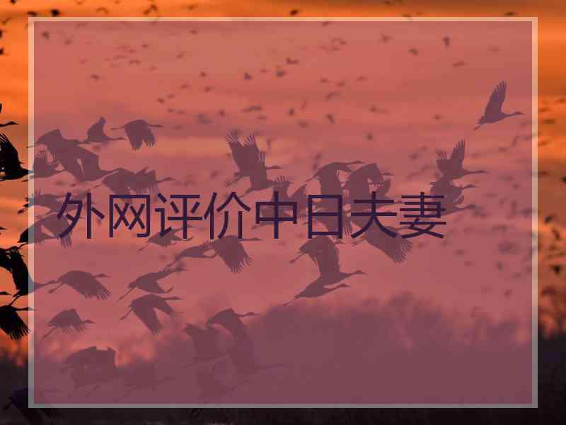 外网评价中日夫妻