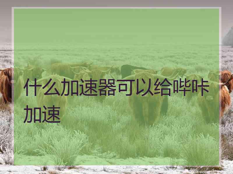 什么加速器可以给哔咔加速