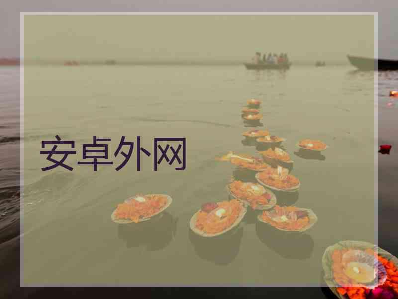 安卓外网