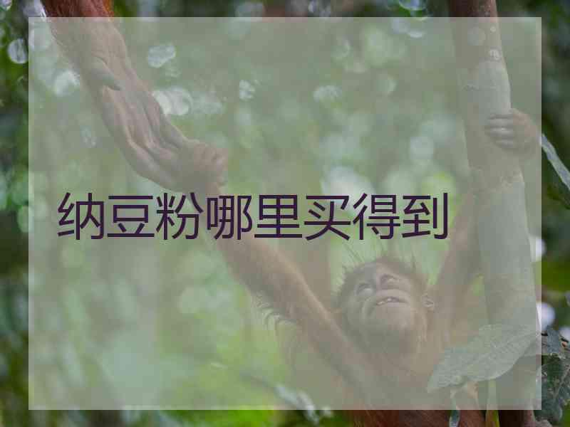 纳豆粉哪里买得到