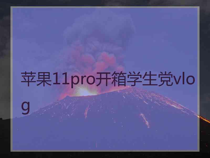 苹果11pro开箱学生党vlog