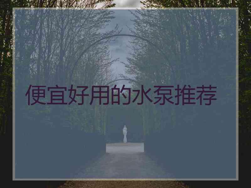 便宜好用的水泵推荐