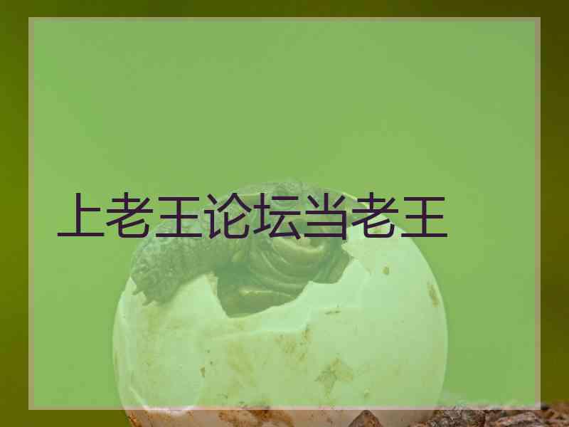 上老王论坛当老王