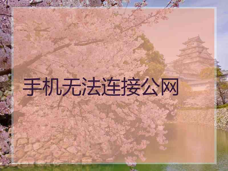 手机无法连接公网