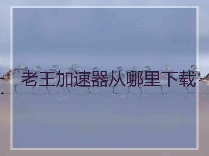 老王加速器从哪里下载