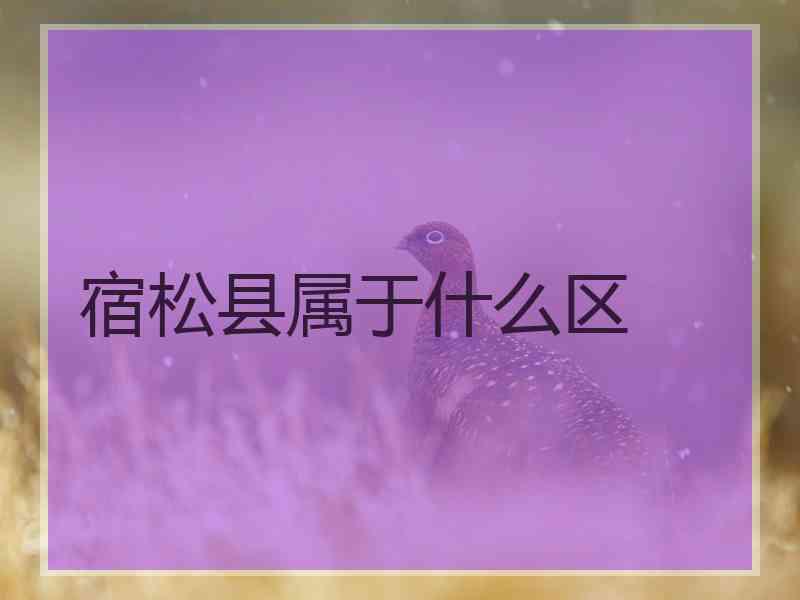 宿松县属于什么区