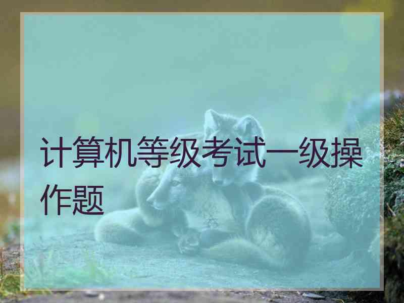 计算机等级考试一级操作题