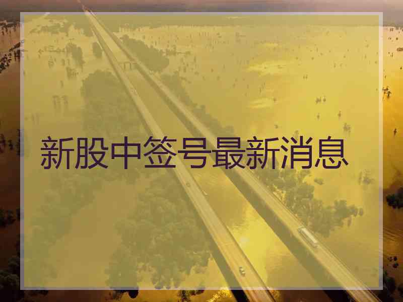新股中签号最新消息