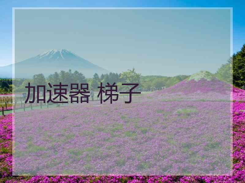 加速器 梯子