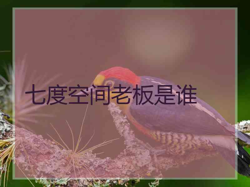 七度空间老板是谁