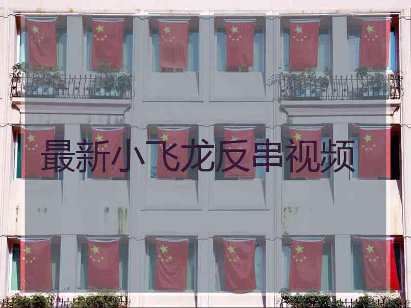最新小飞龙反串视频