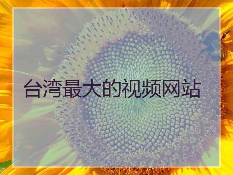 台湾最大的视频网站
