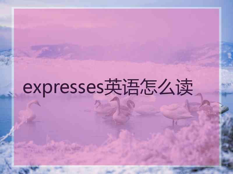 expresses英语怎么读
