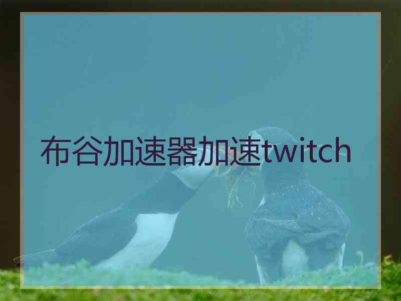 布谷加速器加速twitch