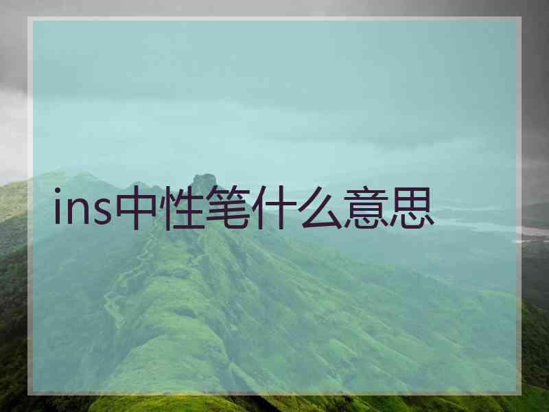 ins中性笔什么意思
