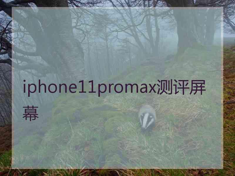 iphone11promax测评屏幕