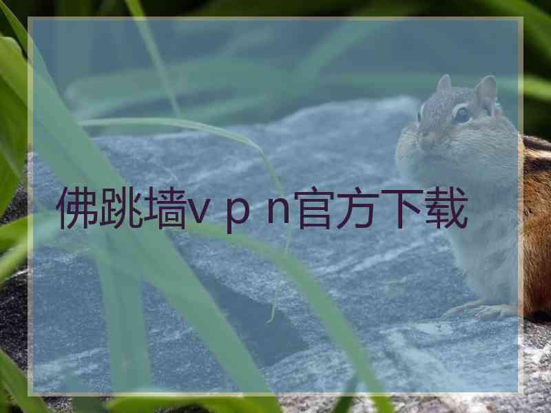 佛跳墙v p n官方下载