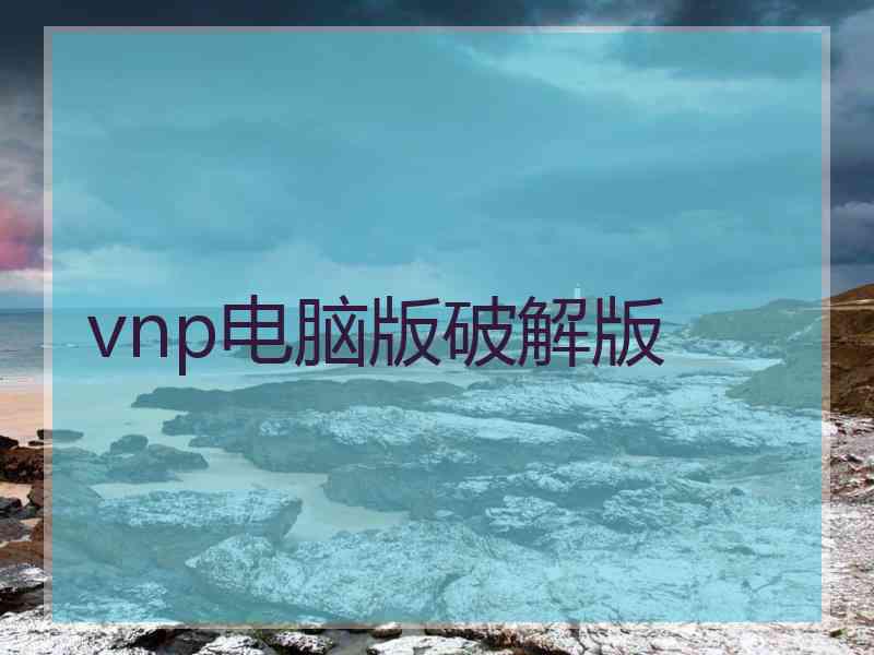 vnp电脑版破解版