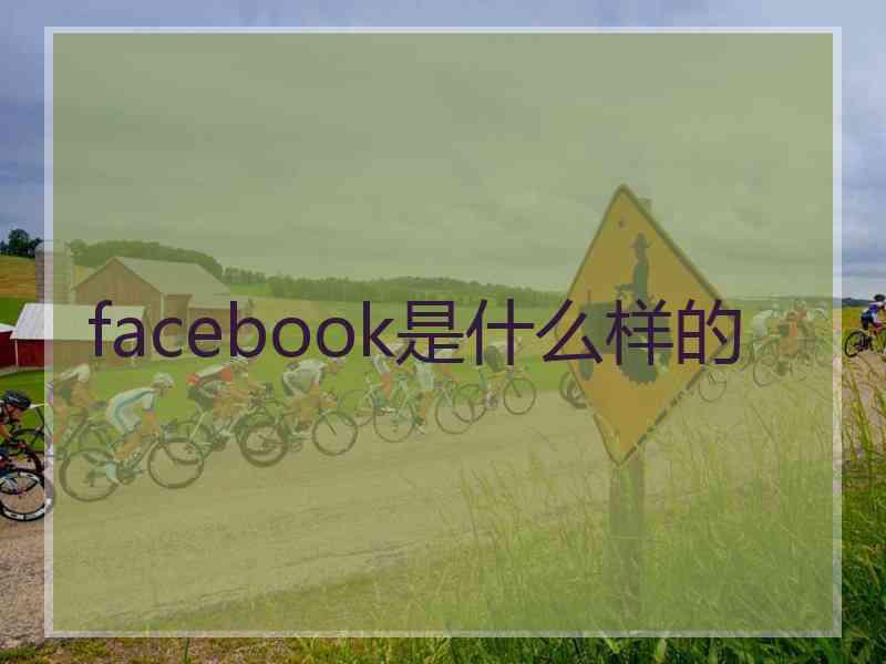 facebook是什么样的