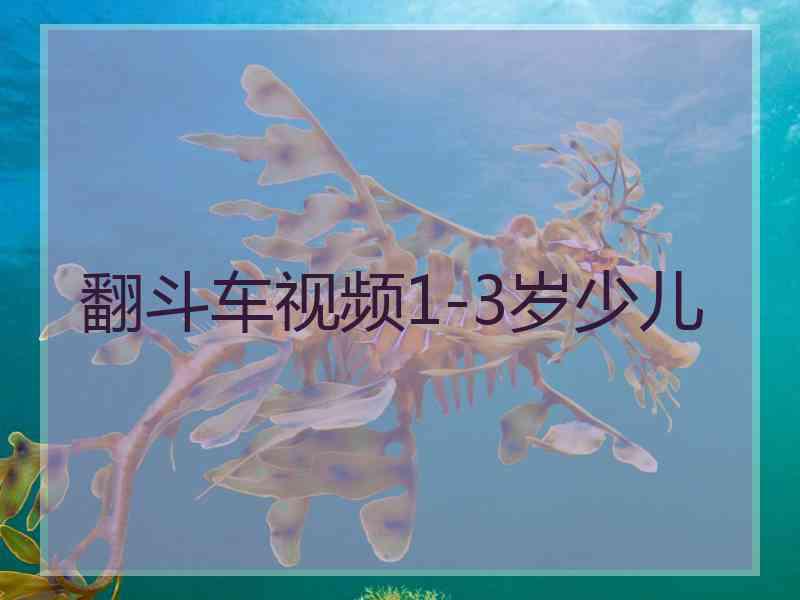 翻斗车视频1-3岁少儿