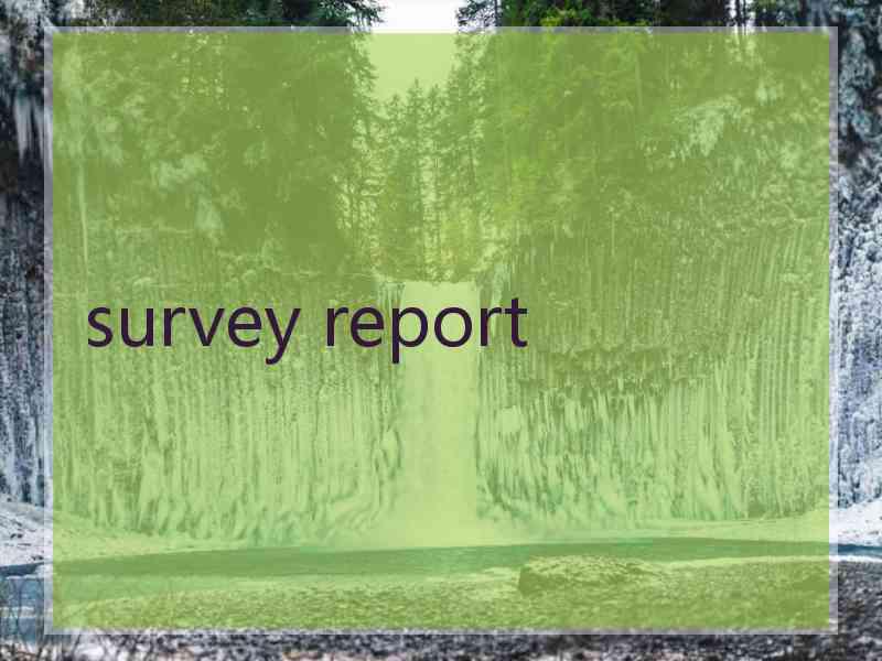 survey report