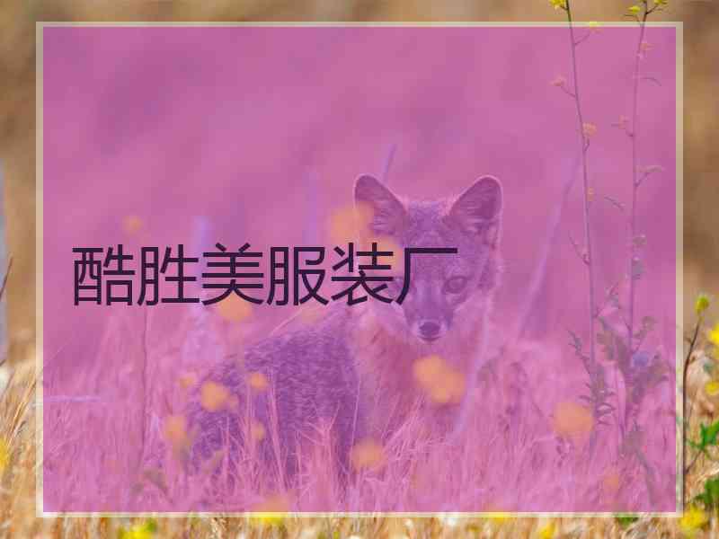 酷胜美服装厂