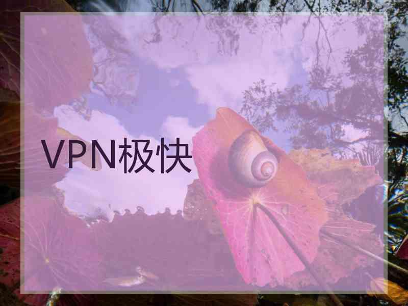 VPN极快