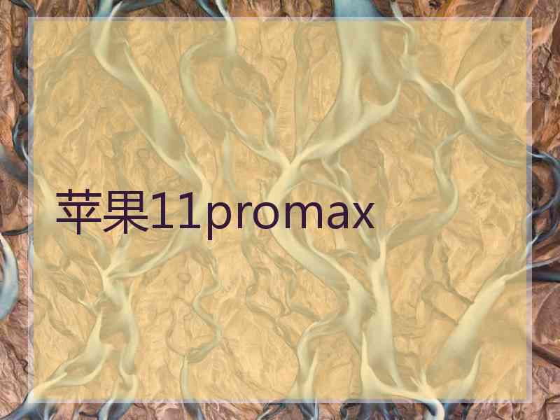 苹果11promax