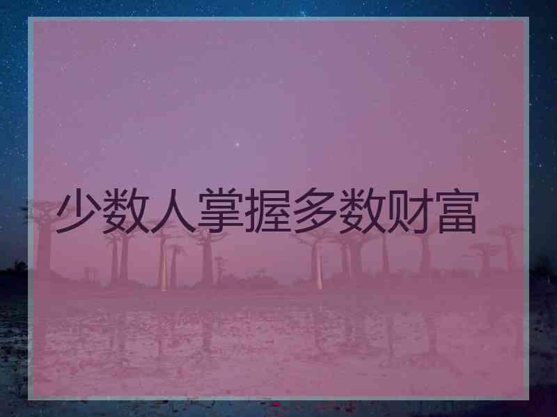 少数人掌握多数财富