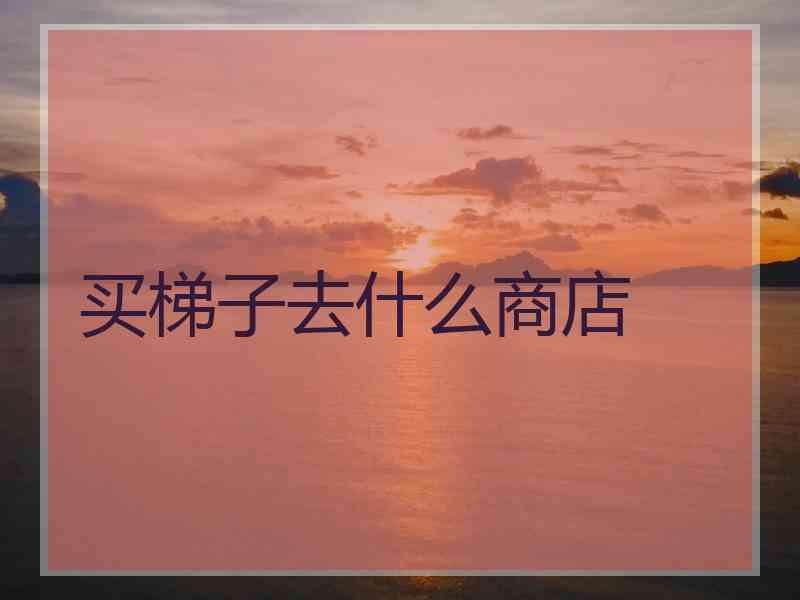 买梯子去什么商店