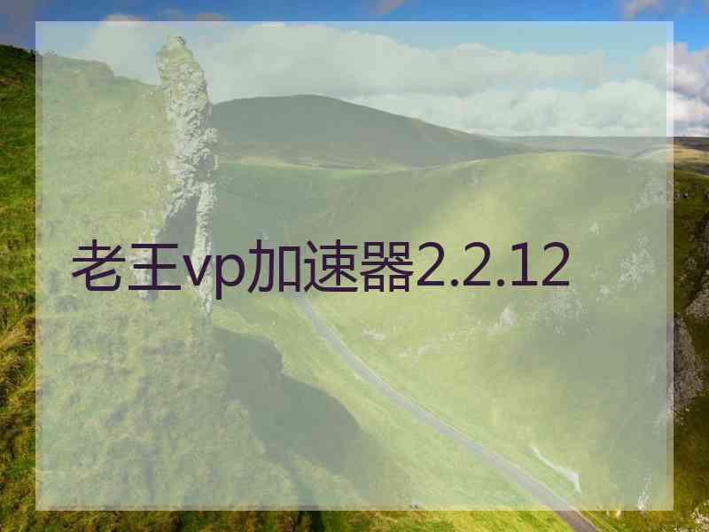老王vp加速器2.2.12