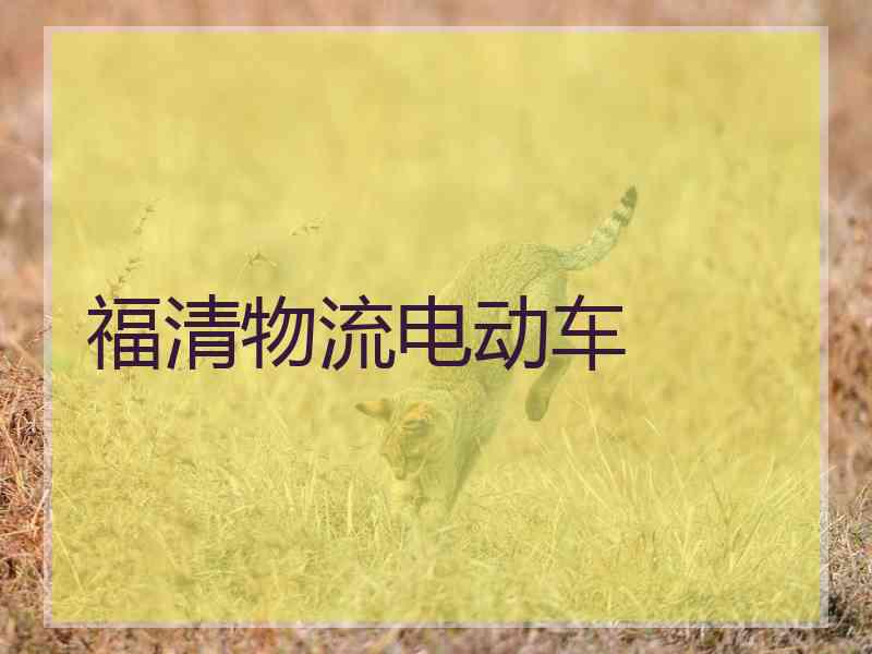 福清物流电动车