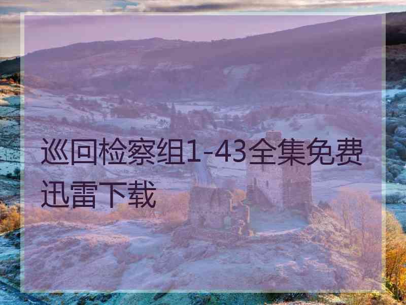 巡回检察组1-43全集免费迅雷下载