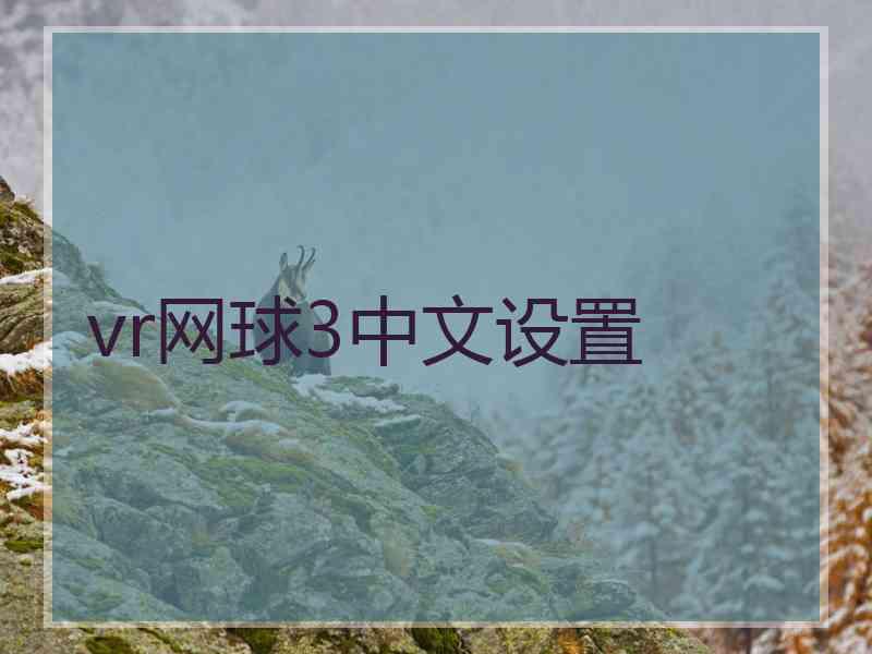 vr网球3中文设置