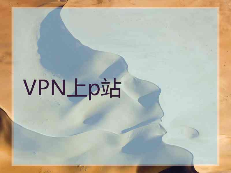 VPN上p站