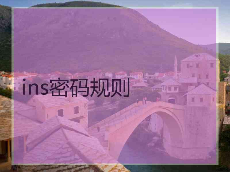 ins密码规则
